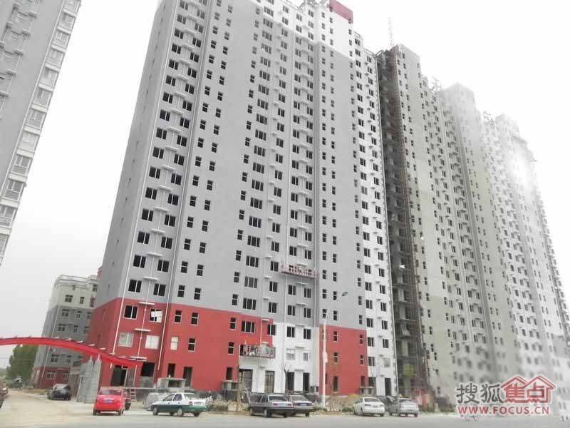 泊樂港灣最新消息全面解析，泊樂港灣最新動態(tài)全面解讀