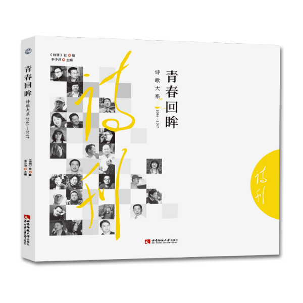 探索青春，2017最新青春文學(xué)書籍的魅力，探索青春，2017最新青春文學(xué)書籍的魅力與風(fēng)采