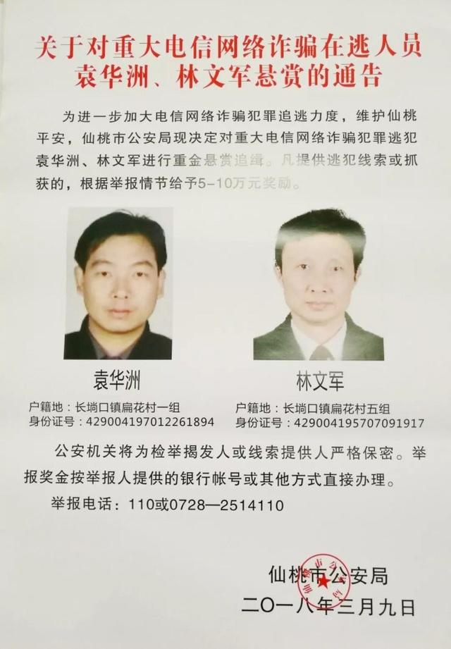 仙桃電信詐騙最新消息深度解析，仙桃電信詐騙最新動態(tài)深度解析