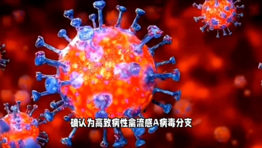 第5830頁