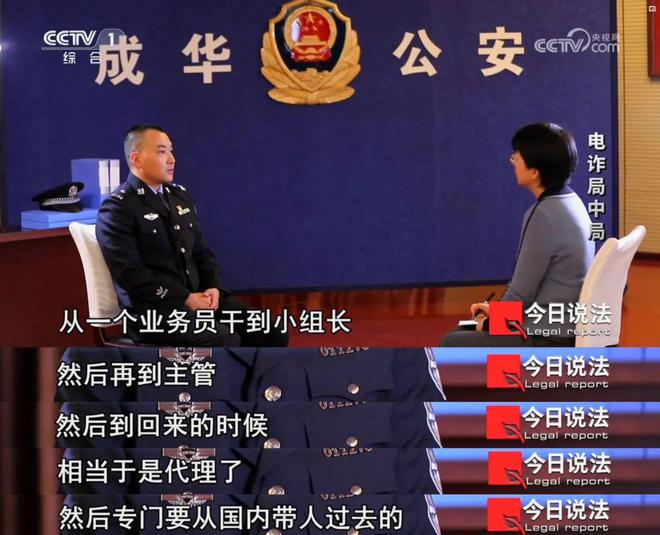 澳門今晚必開一肖一特——揭開犯罪的面紗，澳門今晚必開一肖一特，犯罪面紗下的真相揭秘