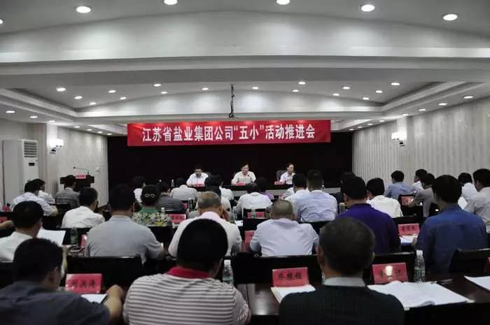 江蘇鹽業(yè)改革最新消息深度解讀，江蘇鹽業(yè)改革最新動態(tài)深度解析