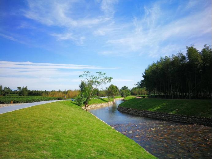 熊貓公園的最新消息，探索自然與文化的融合之旅，熊貓公園最新動態(tài)，自然與文化融合之旅探索