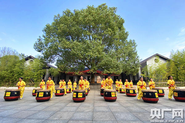 湖南常寧西嶺最新新聞報(bào)道，湖南常寧西嶺最新新聞動(dòng)態(tài)