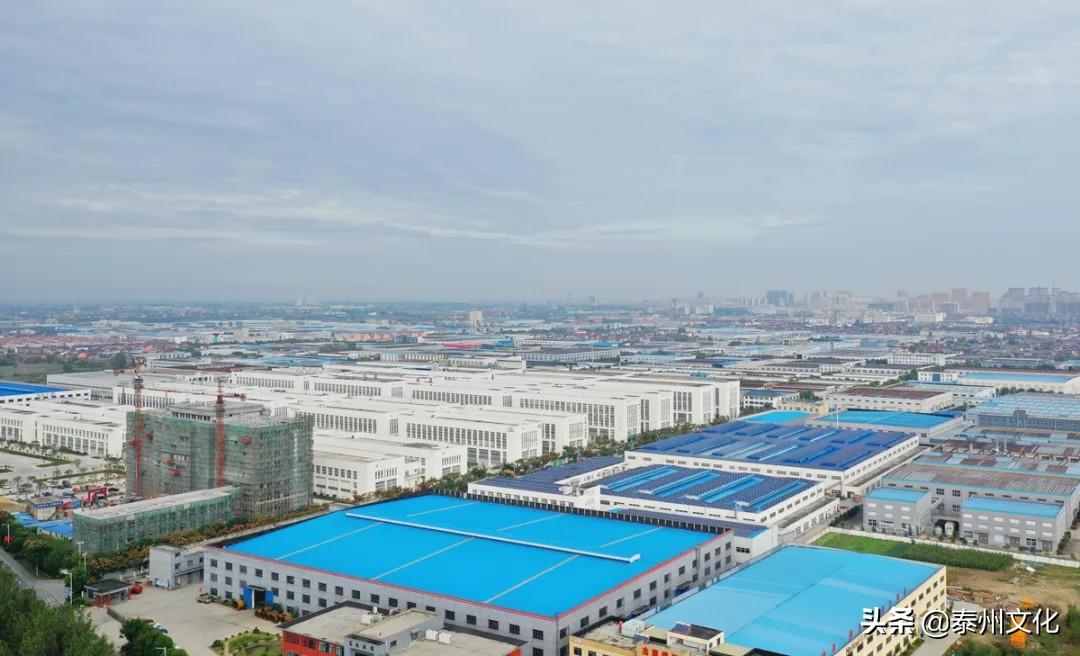 姜堰人才市場最新招聘信息概覽，姜堰人才市場最新招聘信息全覽