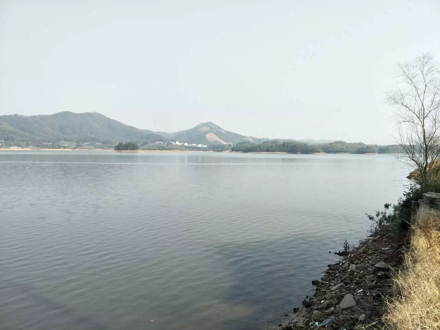 宣城湯村水庫最新動(dòng)態(tài)，宣城湯村水庫最新進(jìn)展動(dòng)態(tài)