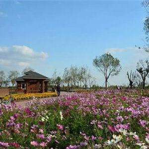 官港森林公園最新消息，官港森林公園最新動態(tài)報道