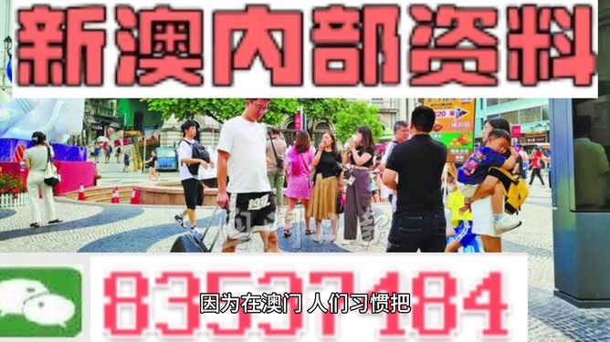 關(guān)于新澳正版免費資料大全的探討與警示，新澳正版免費資料大全，探討與警示