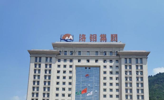 洛陽鉬業(yè)，國營還是私企？，洛陽鉬業(yè)，國營還是私企？解析其企業(yè)性質