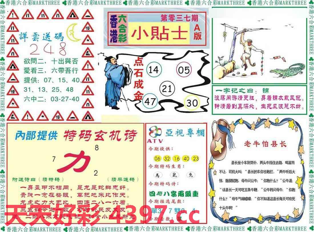 揭秘看圖抓碼，從入門到精通的全方位解析，看圖抓碼全方位解析，從入門到精通的秘籍揭秘