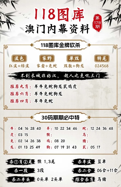澳門正版精準免費大全，揭示背后的真相與警示公眾，澳門正版精準免費大全背后的犯罪真相與公眾警示