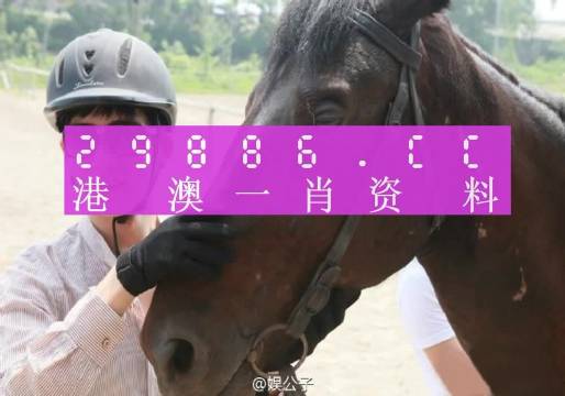 澳門一肖一碼一必中一肖舟山——揭秘背后的犯罪風(fēng)險(xiǎn)與挑戰(zhàn)，澳門一肖一碼背后的犯罪風(fēng)險(xiǎn)與挑戰(zhàn)揭秘