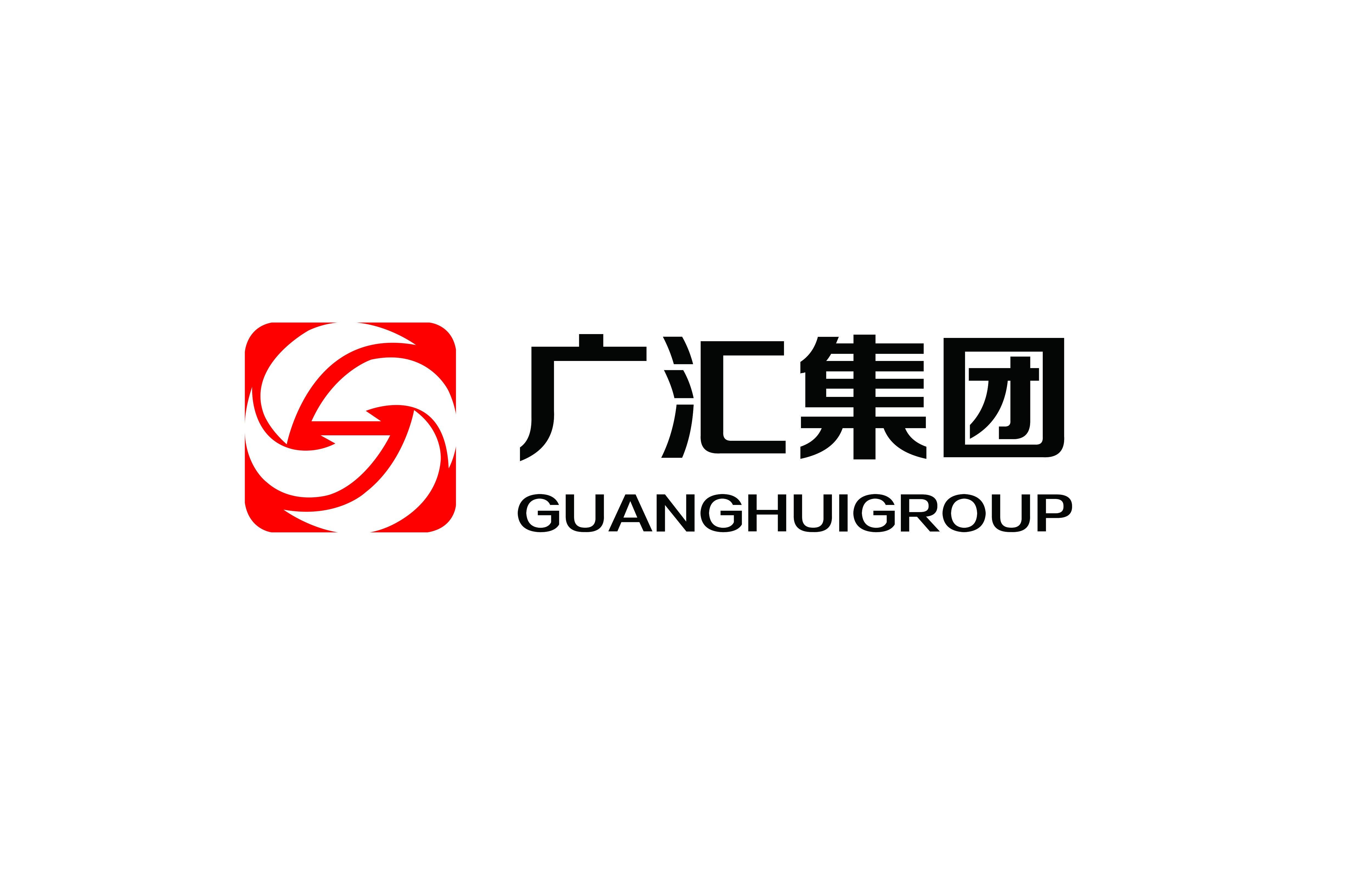 廣匯集團，國資背景探析，廣匯集團，國資背景的深度探析