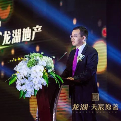龍湖集團(tuán)董事長(zhǎng)的背景，卓越的企業(yè)領(lǐng)袖與時(shí)代典范，龍湖集團(tuán)董事長(zhǎng)的卓越背景，企業(yè)領(lǐng)袖與時(shí)代典范的典范之路
