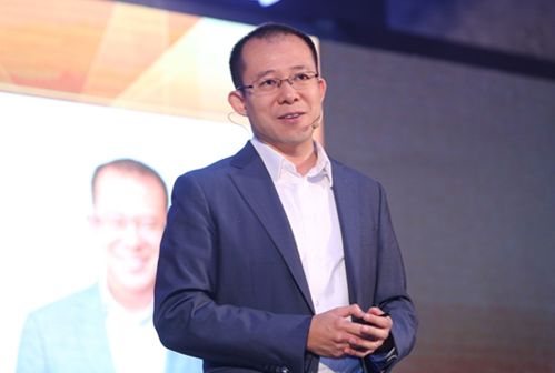 龍湖集團幕后老板揭秘，企業(yè)家吳亞軍的時代傳奇，揭秘龍湖集團幕后老板吳亞軍，時代傳奇企業(yè)家