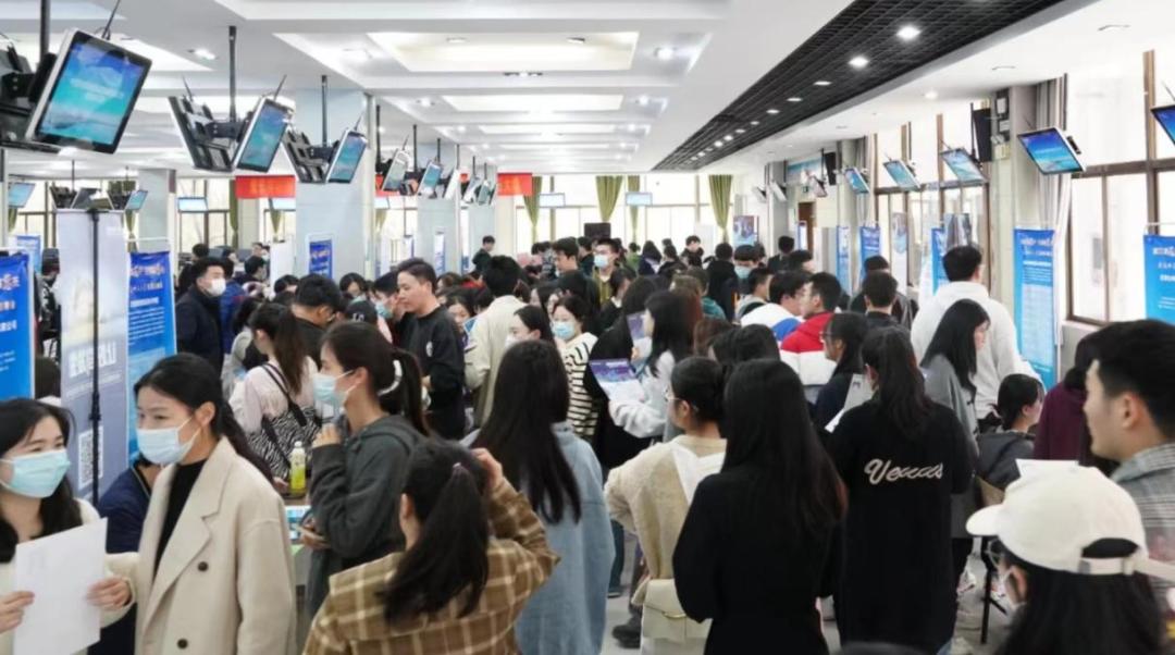 海螺公司員工編制解析，海螺公司員工編制深度解析