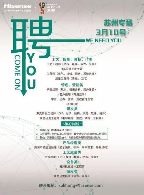 海信公司招聘學歷要求及其重要性，海信公司招聘學歷要求及其重要性解析