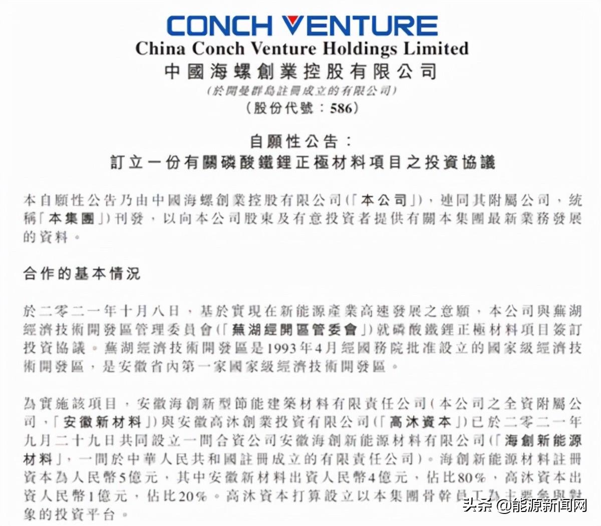 海螺創(chuàng)業(yè)前十大股東，探究其背后的力量與策略，海螺創(chuàng)業(yè)前十大股東背后的力量與策略探究