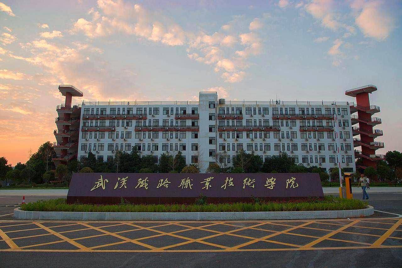 武漢最新職業(yè)探析，武漢最新職業(yè)發(fā)展趨勢(shì)深度解析