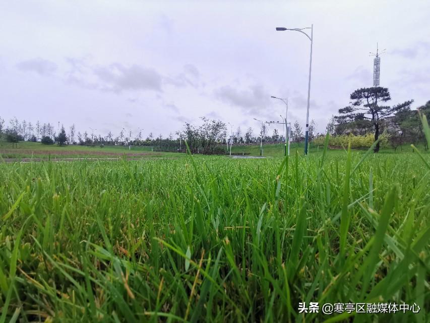最新降雨量分析與預(yù)測，全球各地的降雨趨勢及其影響，全球最新降雨量分析與預(yù)測，降雨趨勢及其全球影響概述