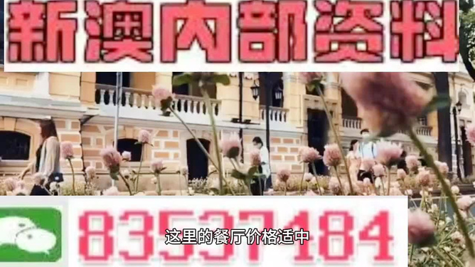 新澳門(mén)精準(zhǔn)資料大全與龍門(mén)客棧，揭示背后的犯罪問(wèn)題，澳門(mén)犯罪揭秘，龍門(mén)客棧背后的精準(zhǔn)資料與犯罪問(wèn)題深度剖析