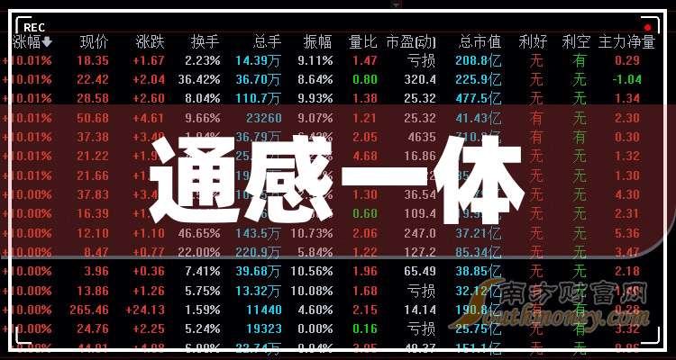 2024年管家婆的一馬一笑，智慧與效率的交融，智慧與效率的交融，管家婆的一馬一笑在2024年的展望