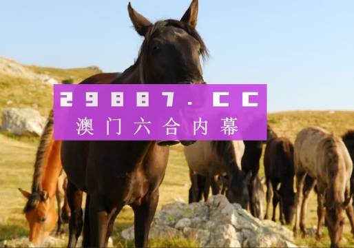 澳門管家婆資料正版大全——探索2023年的全新視界，澳門正版管家婆資料大全，2023年全新視界探索