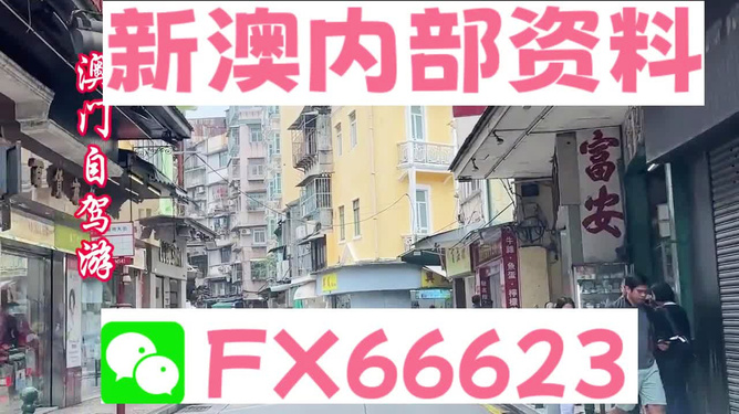 新奧精準(zhǔn)免費(fèi)資料提供，探索與啟示，新奧精準(zhǔn)免費(fèi)資料探索，啟示與分享