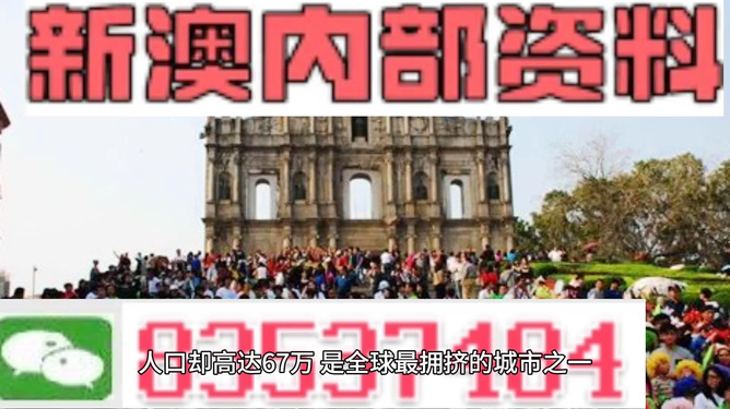 關(guān)于新澳門正版免費(fèi)資料的查詢——警惕犯罪風(fēng)險(xiǎn)，警惕犯罪風(fēng)險(xiǎn)，新澳門正版免費(fèi)資料查詢需謹(jǐn)慎