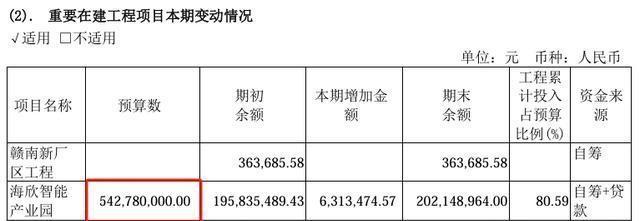 海欣股份目標(biāo)價(jià)30元的投資邏輯與市場(chǎng)展望，海欣股份目標(biāo)價(jià)30元，投資邏輯與市場(chǎng)展望分析