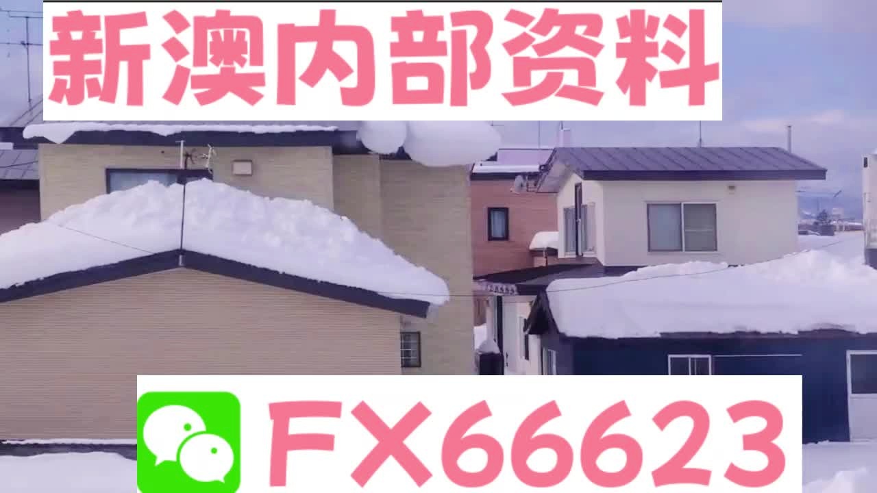 新奧天天精準資料大全，深度解析與實際應用，新奧天天精準資料大全，深度解析及實際應用指南