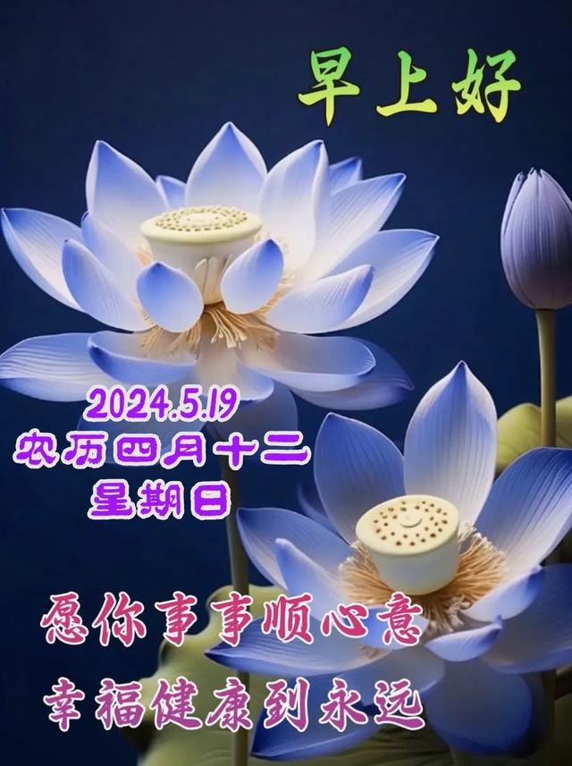 最新周末愉快圖片，釋放壓力，享受生活的美好時光，周末美好時光，釋放壓力，享受生活的溫馨圖片欣賞