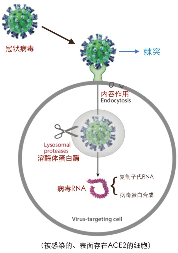 星河探險 第29頁