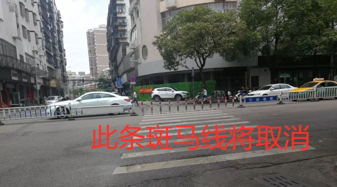 東陽最新出行，探索城市新動向，東陽最新出行指南，探索城市新動向
