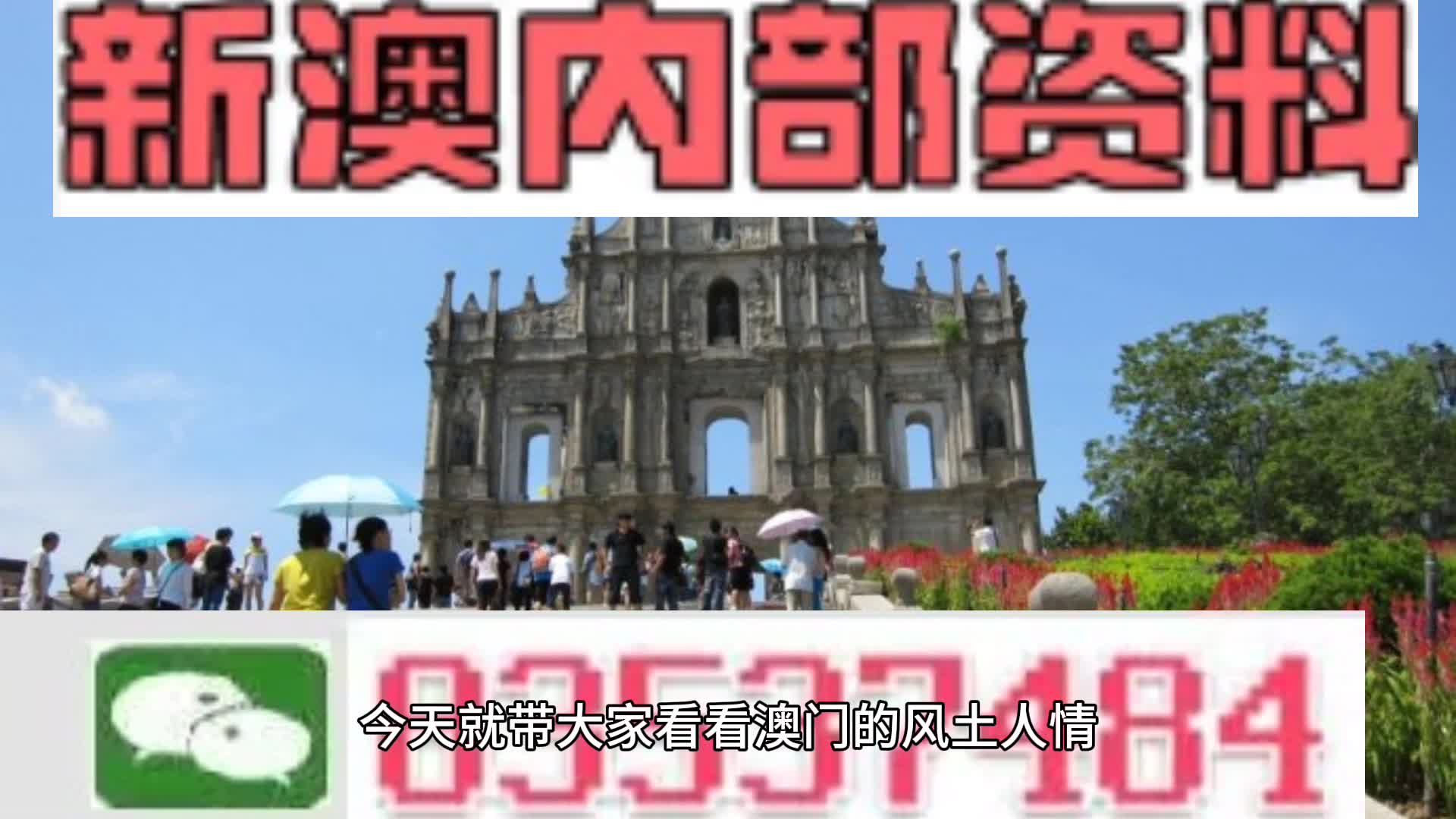 關于新澳精準資料大全的探討與警示——警惕違法犯罪問題的重要性，新澳精準資料大全，探討與警示——預防違法犯罪的重要性