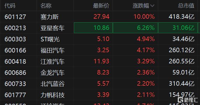 賽力斯股票未來走勢分析，能否繼續(xù)上漲？，賽力斯股票未來走勢展望，能否持續(xù)上漲？