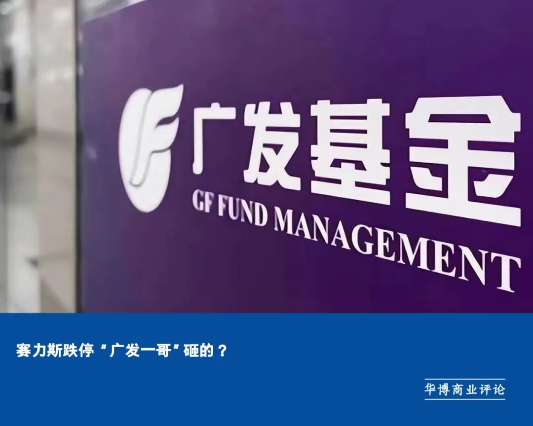 賽力斯股價近期波動劇烈的原因分析，賽力斯股價劇烈波動的原因深度解析