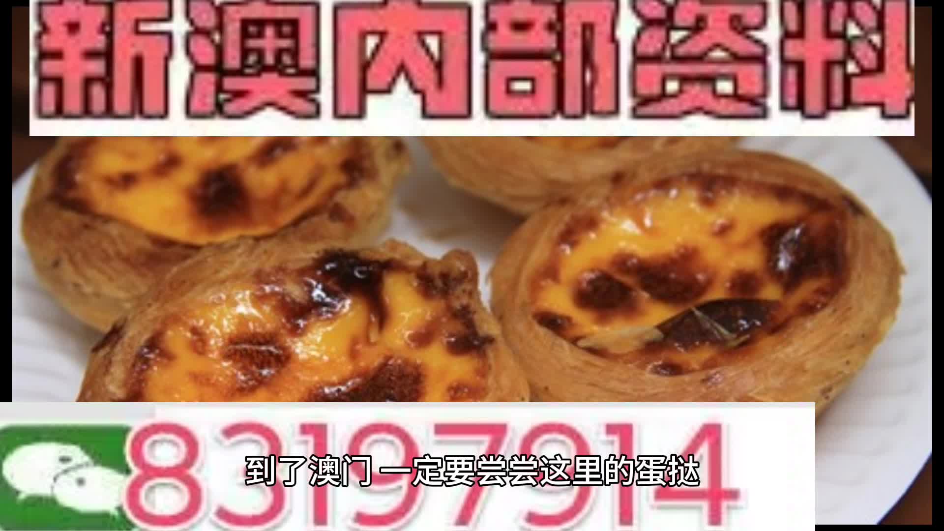 2024年新奧梅特免費(fèi)資料大全詳解，2024年新奧梅特免費(fèi)資料大全詳解手冊(cè)