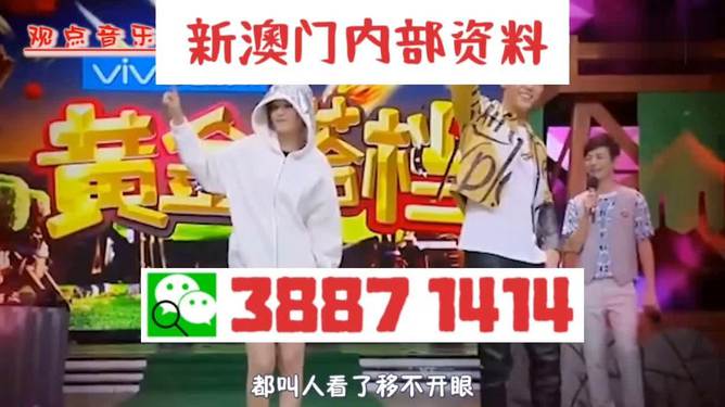 澳門今晚必開一肖一特，理性看待彩票與命運的無常，澳門彩票運勢揭秘，理性對待彩票與命運的波折