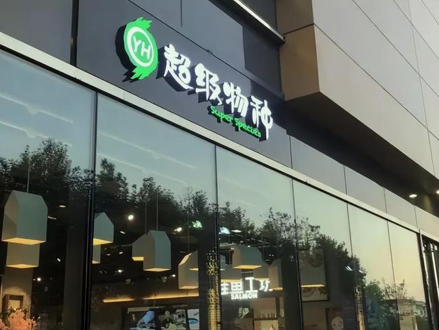 永輝超市，未來(lái)超級(jí)牛股的潛力展望，永輝超市，未來(lái)超級(jí)牛股的潛力展望與前景分析