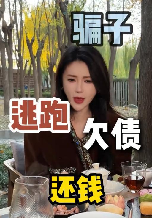 賈躍亭前妻回應(yīng)曾7天還12億，揭秘背后的真相與誤解，賈躍亭前妻回應(yīng)債務(wù)傳聞，揭秘背后的真相與誤解，曾七天償還十二億背后的故事