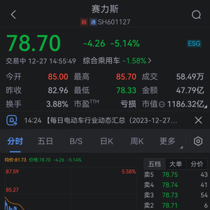 賽力斯明天跌還是漲，市場走勢分析與預(yù)測，賽力斯明日走勢預(yù)測，市場分析與展望