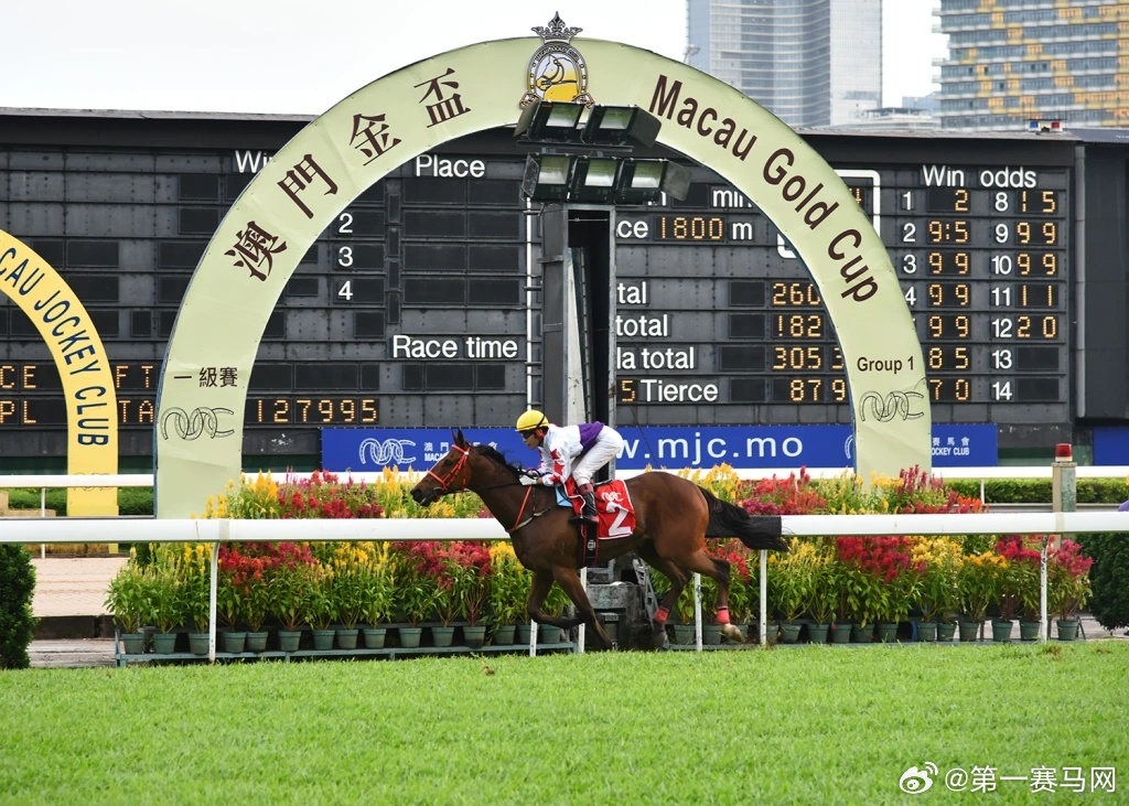 澳門馬會會員資料公開，探究與影響，澳門馬會會員資料公開，探究影響與背后故事