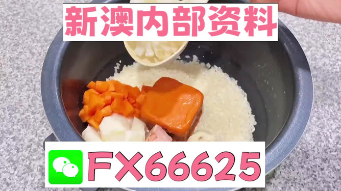 2024年新奧正版資料免費大全——探索與獲取之路，2024年新奧正版資料免費大全，全方位探索與獲取指南