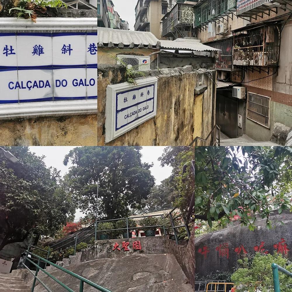 新澳門(mén)歷史記錄查詢，探索與發(fā)現(xiàn)，澳門(mén)歷史探索與記錄查詢之旅
