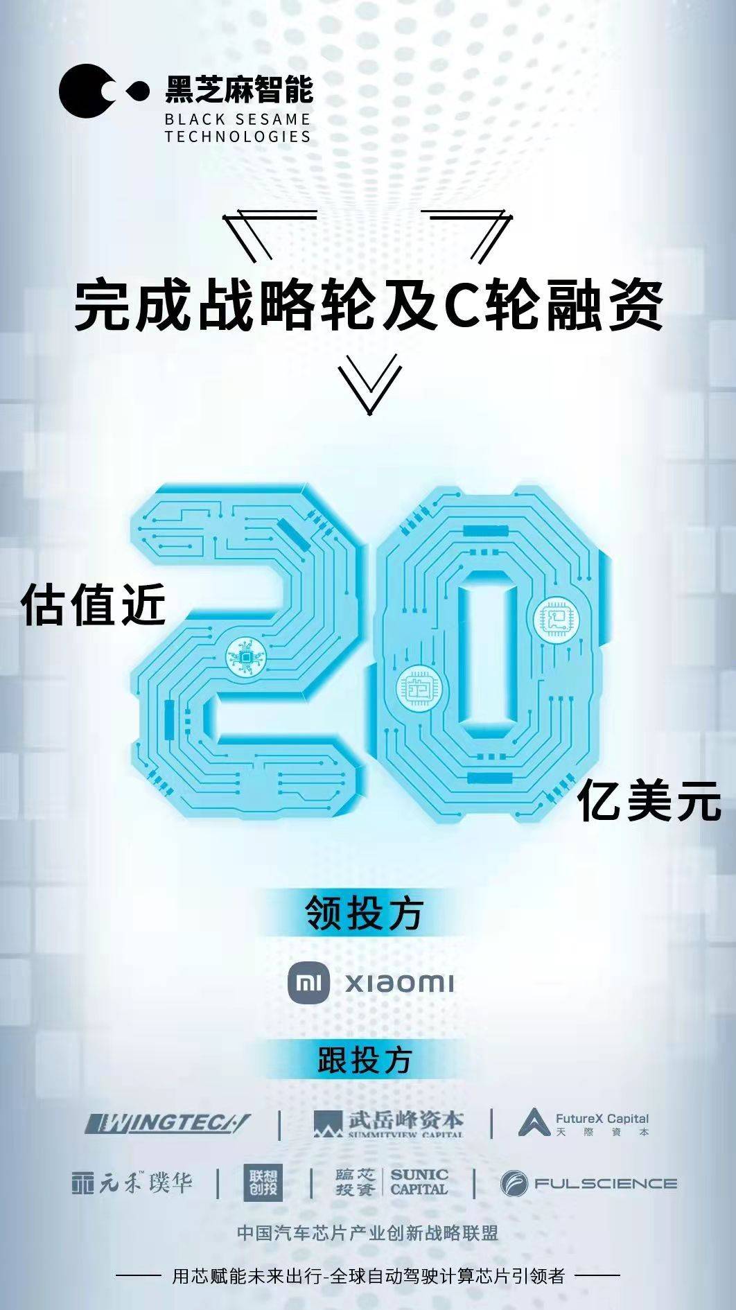 黑芝麻重組成功公告，開(kāi)啟新的里程碑，黑芝麻重組成功，開(kāi)啟全新里程碑