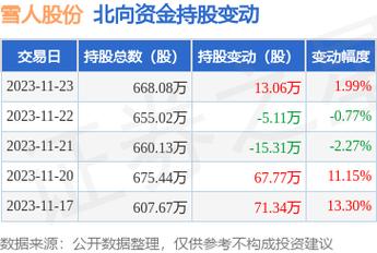 雪人股份目標價2024年，深度分析與展望，雪人股份2024年目標價深度分析與展望