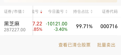 黑芝麻股票值得長期持有嗎？深度分析與探討，黑芝麻股票長期持有價值深度分析與探討