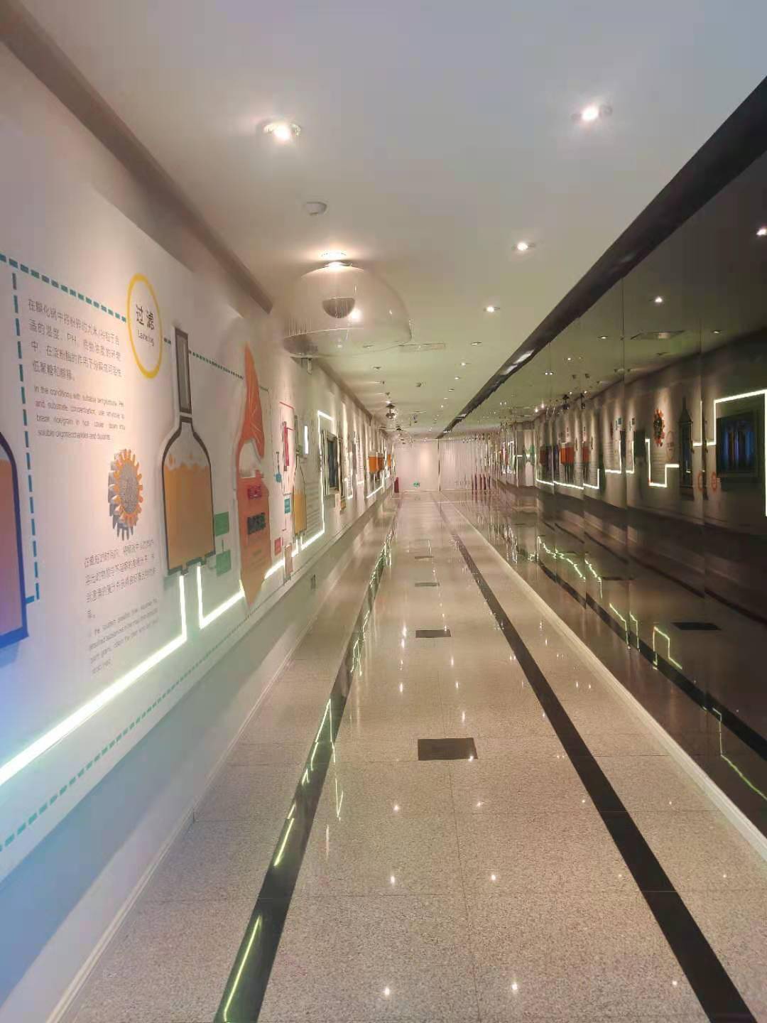 澳門一碼一肖一待一中四不，揭示違法犯罪問題的重要性，澳門違法犯罪問題揭秘，一碼一肖一待一中四不容忽視的重要性