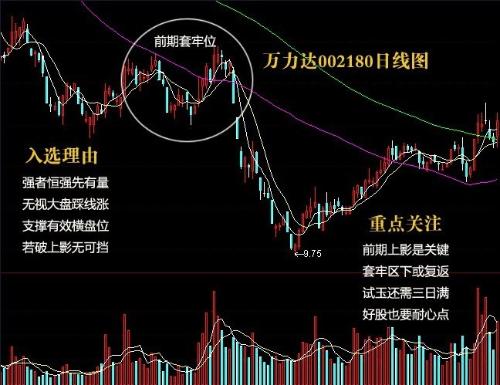 天河起重股票股吧，深度解析與投資者策略探討，天河起重股票深度解析及投資者策略探討股吧
